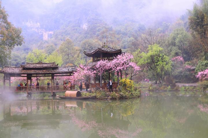 动物帮帮忙保卫家园