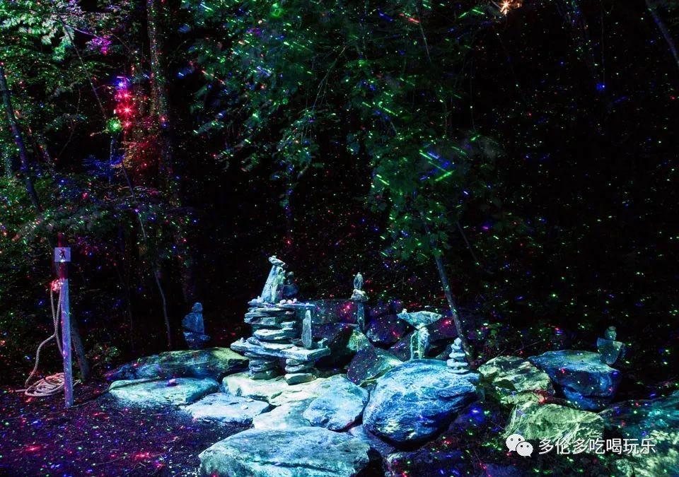 深入解读怎么烧猪血和豆腐好吃,一站式知识星球平台